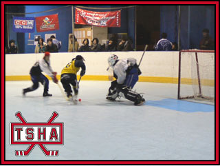 More photos at the bottom of the page