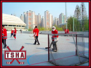 korea2008_rink.jpg